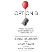 Option B cover